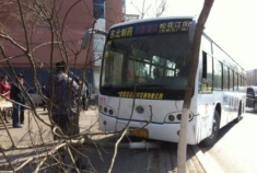 沈阳一男子抢方向盘 公交车吻树上了