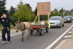 男子在高速公路遛驴导致高速路堵塞