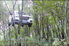 温州一辆越野车无人驾驶“开”上树(图)
