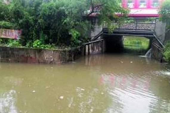 广州涵洞吞车7人死亡案驾驶员或无证驾驶