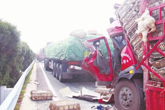 高速路起雾致15辆车连环相撞 1死12伤