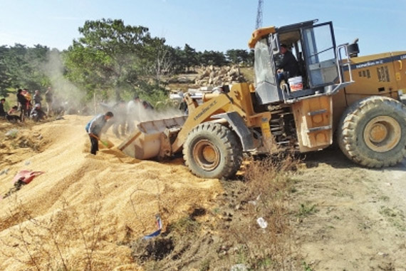 货车司机开车打盹侧翻 6万斤玉米洒山沟