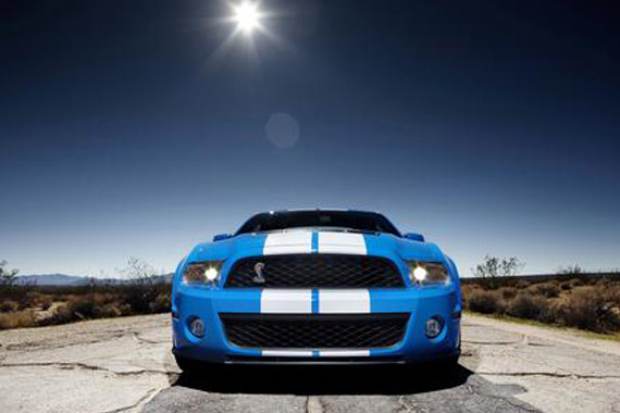 新手看过来 一句话记住养护十二项注意