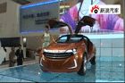 视频：阿尔特概念车亮相2010北京车展