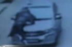 视频：主人为拦偷狗车被顶在引擎盖拖行3公里