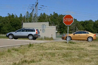 视频：真人演示沃尔沃动物探测系统