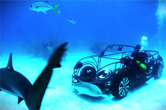 视频：开车下水看海底鲨鱼 大众打造潜水甲壳虫