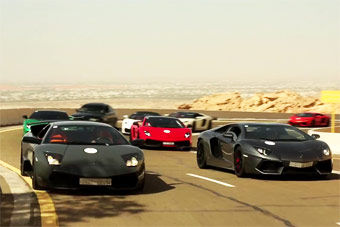 视频：牛群扎堆 迪拜兰博基尼50周年庆