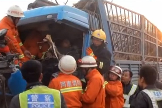 视频：惨烈车祸司机遭树干穿胸命悬一线
