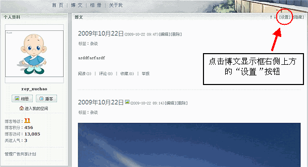 点击博文显示框右侧上方的“设置”按钮