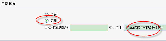 设置转发到的邮箱地址