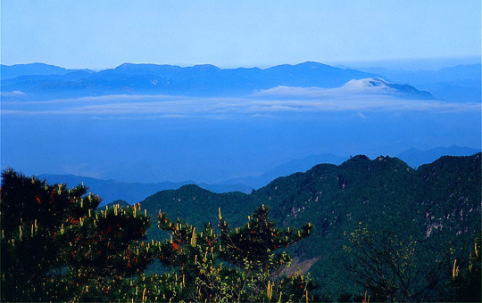 杭州天目山风景名胜区旅游_杭州天目山风景名