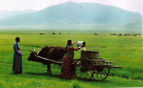 锡林郭勒盟热门景点推荐_锡林郭勒盟热门旅游