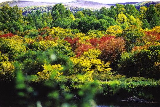 锡林郭勒盟西乌旗旅游_锡林郭勒盟西乌旗旅游