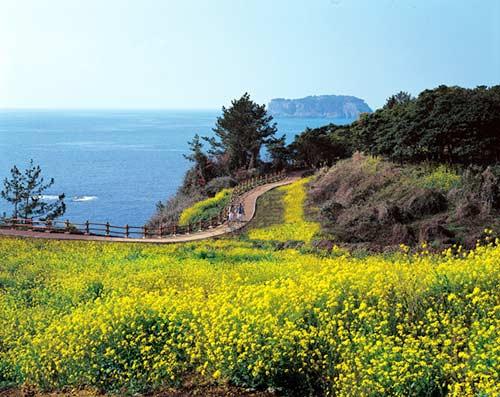 韩国旅游_韩国旅游攻略_韩国旅游景点介绍_韩