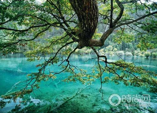 旅游生态课堂:感受地质童话般的九寨沟 旅游生态课堂:感受地质童话般的九寨沟