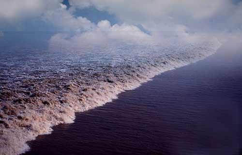 钱塘江观潮热门景点推荐_钱塘江观潮热门旅游