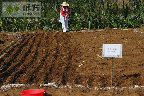顺义区热门景点推荐_顺义区热门旅游景点介绍