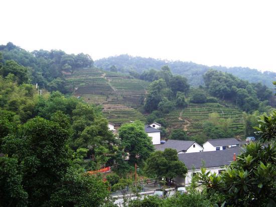 浙江省热门景点推荐_浙江省热门旅游景点介绍