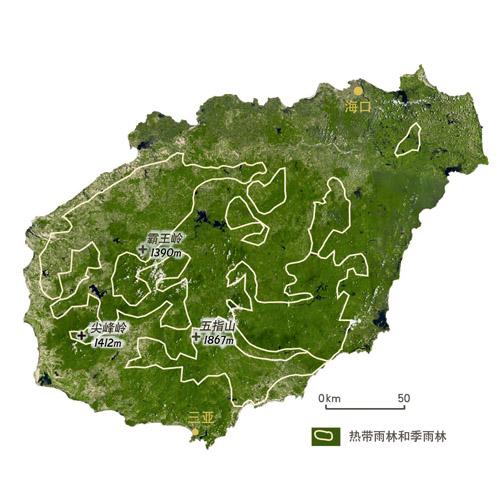黎族人口_黎族服饰