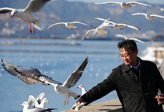 其乐融融的街景(图:蔺以光) 其乐融融的街景(图:蔺以光)