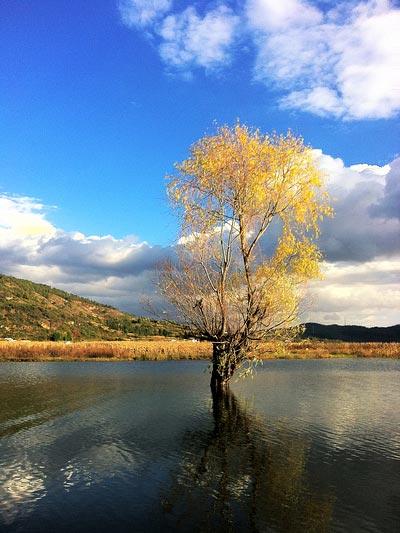 拉市海美景(图:浅宝) 拉市海美景(图:浅宝)