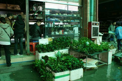 花鸟鱼虫市场乐趣就在寻觅间花鸟鱼虫市场