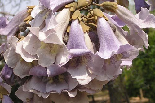 开封旅游_开封旅游攻略_开封旅游景点介绍_开