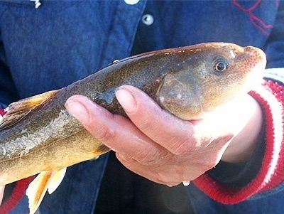 甘孜州热门景点推荐_甘孜州热门旅游景点介绍