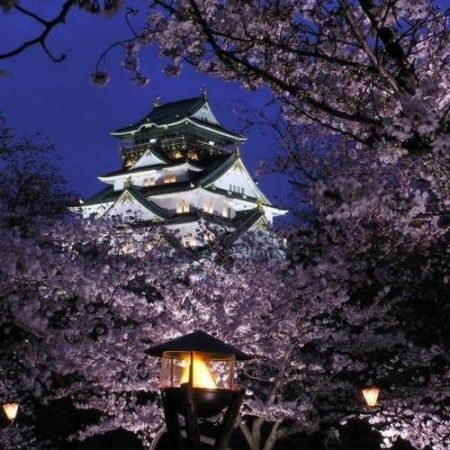 日本热门景点推荐_日本热门旅游景点介绍_日