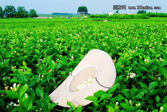 南宁旅游博客_南宁自由行博客