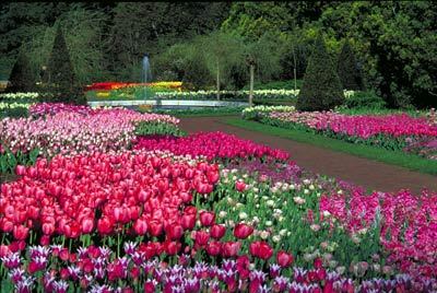 费城旅游攻略_费城游玩攻略_费城自助旅游攻