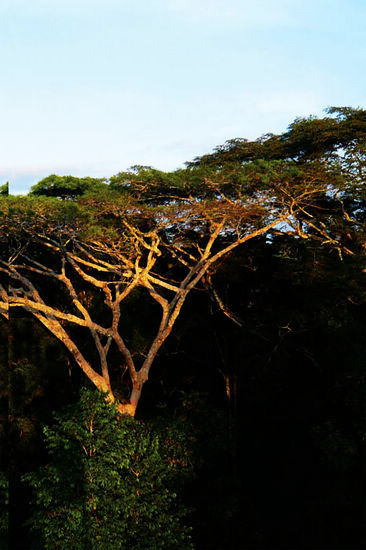 巴西旅游攻略_巴西游玩攻略_巴西自助旅游攻