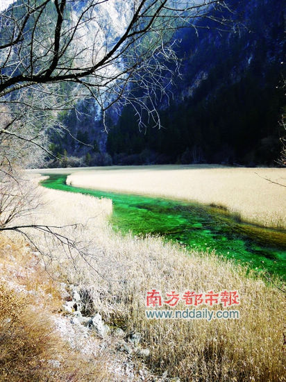 冬游九寨 用心灵去感受令人震撼的美 冬游九寨 用心灵去感受令人震撼的美