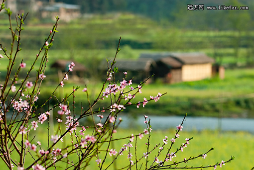 文山州热门景点推荐_文山州热门旅游景点介绍