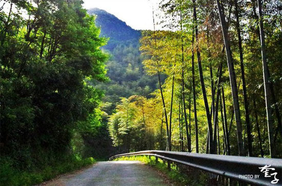 杭州旅游攻略_杭州游玩攻略_杭州自助旅游攻略