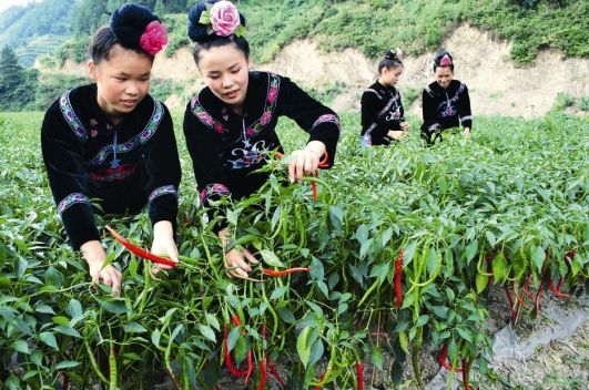 中国旅游博客_中国自由行博客