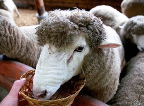 韩国旅游博客_韩国自由行博客