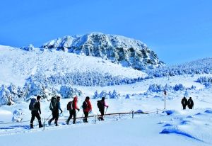 济州岛旅游攻略_济州岛游玩攻略_济州岛自助