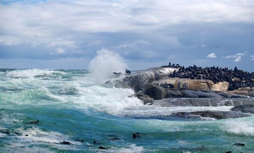 南非热门景点推荐_南非热门旅游景点介绍_南