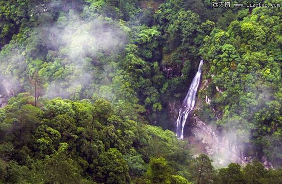 宁德白水洋风景区旅游_宁德白水洋风景区旅游