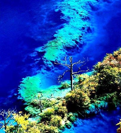 四川九寨沟旅游_四川九寨沟旅游攻略_九寨沟