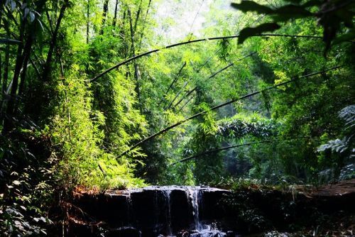 四川青城山-都江堰旅游_四川青城山-都江堰旅