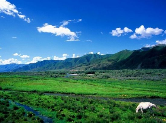 拉萨布达拉宫旅游_拉萨布达拉宫旅游攻略_布