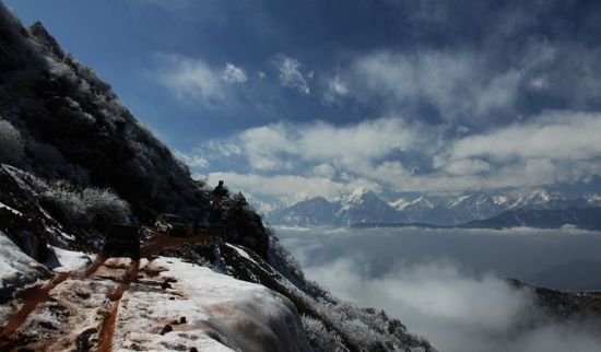 雅安碧峰峡旅游_雅安碧峰峡旅游攻略_碧峰峡