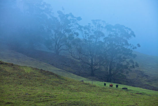 夏威夷旅游博客_夏威夷自由行博客