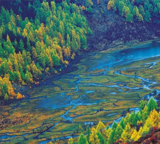 雅安蒙顶山旅游_雅安蒙顶山旅游攻略_蒙顶山
