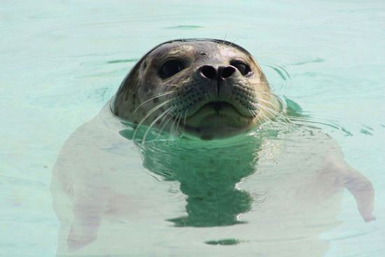 冰岛旅游博客_冰岛自由行博客