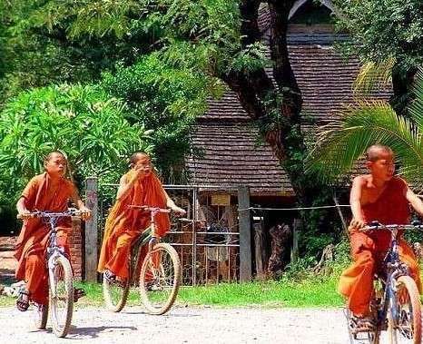 西双版纳傣族园旅游_西双版纳傣族园旅游攻略