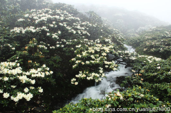 云南旅游博客_云南自由行博客